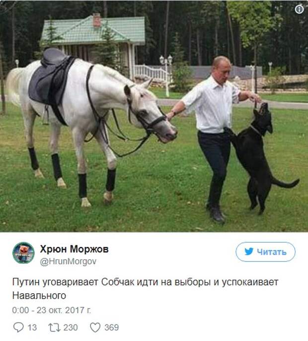 Как у соцсетей пригорает от Собчак и ее предвыборной кампании Как у соцсетей пригорает от Собчак и ее предвыборной кампании