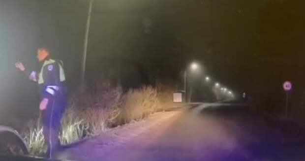 В Сланцах полиция задержала угонщика после стрельбы и погони