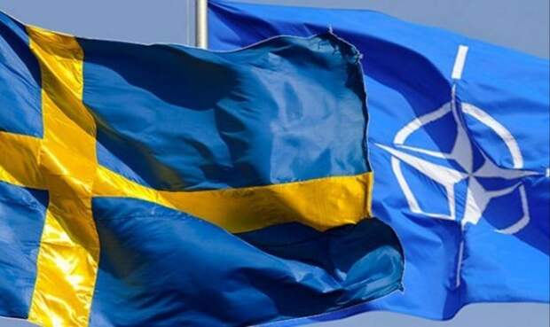 Турция может до конца года ратифицировать заявку Швеции в НАТО