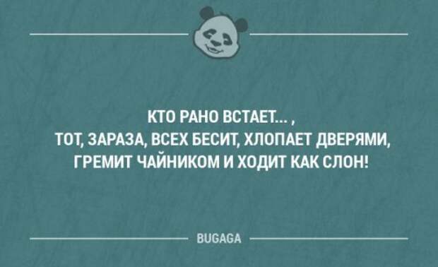 Смешные фразы и забавные мысли. Часть 47 (18 шт)