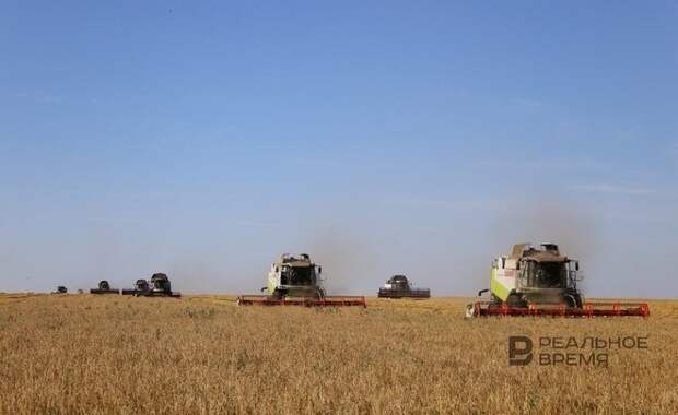 В первой декаде сентября в Татарстане наблюдалась "почвенная засуха"