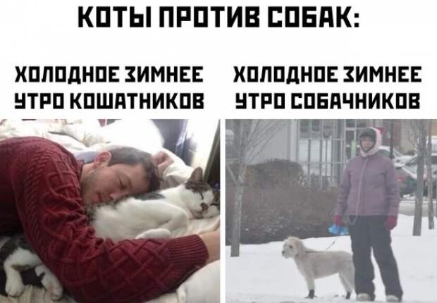 Так себе картинки