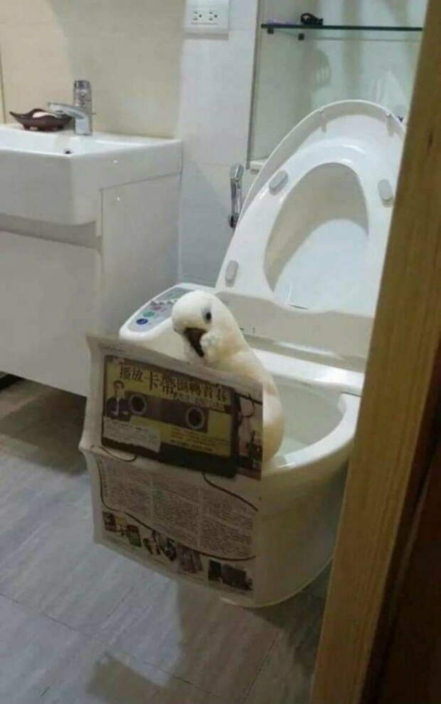 юмор