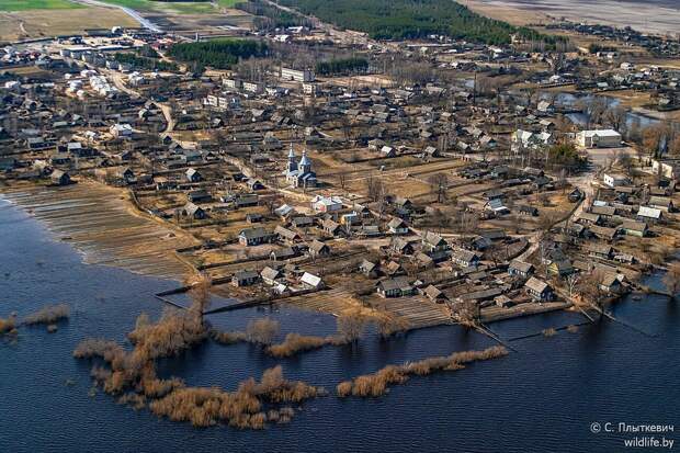 Белорусская «Амазония» удивила иностранцев
