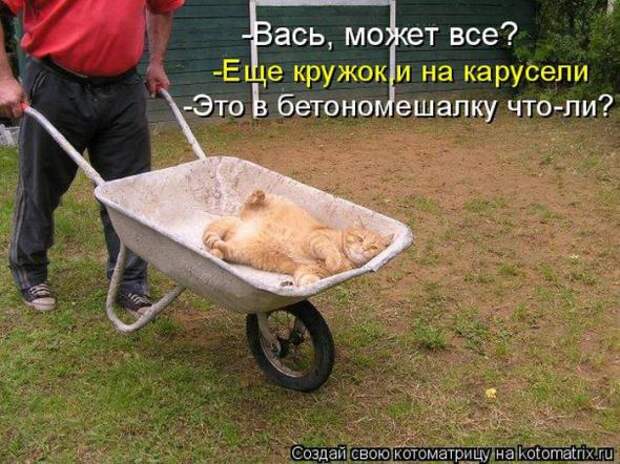 Котоматрицы (картинки с надписями)