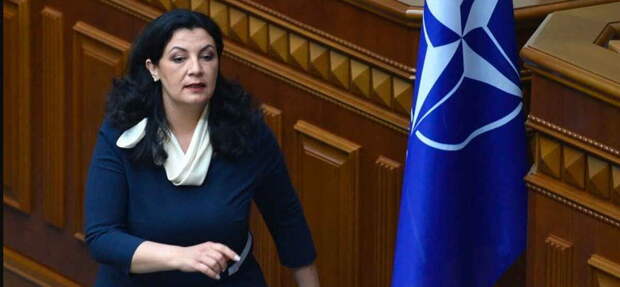 Правительство Украины выдает желаемое за действительное, представляя парламентариям соглашение с США о ресурсах. Об...