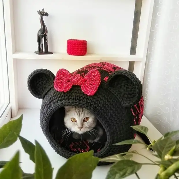 Фото из свободных источников