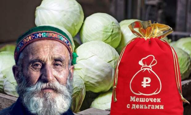 Как Россия будет решать проблему дефицита овощей в условиях санкций 