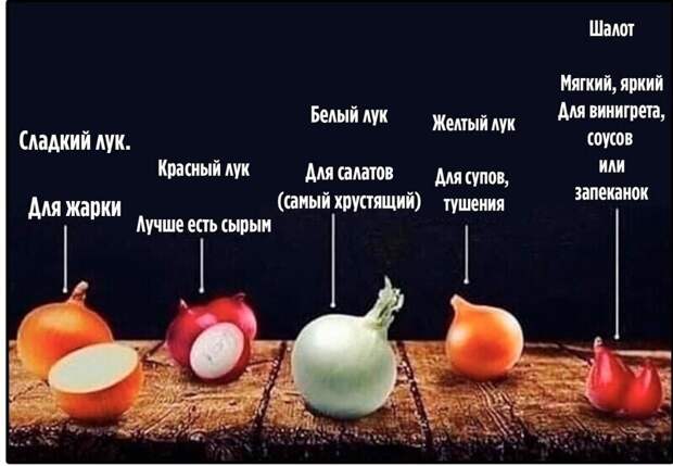 Виды лука Виды лука