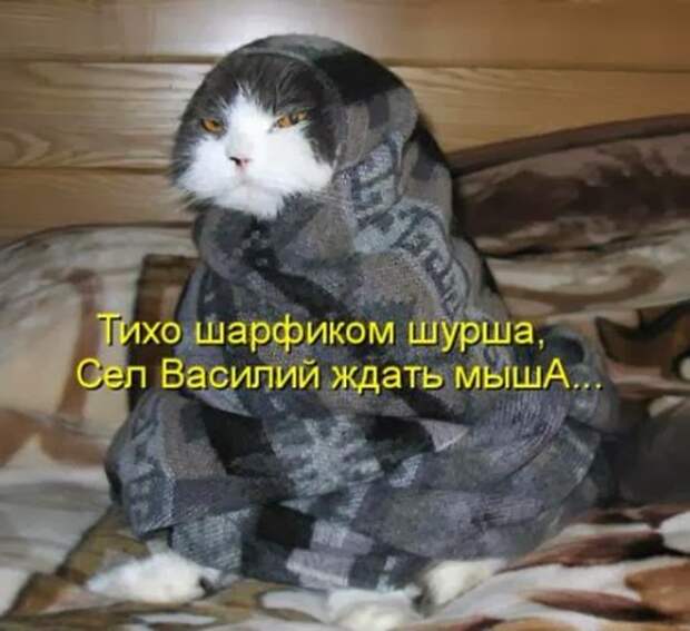 3114a07b6b8f4e4c1972a4c5c06_prev