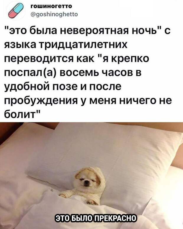 смешные картинки с надписями (9)