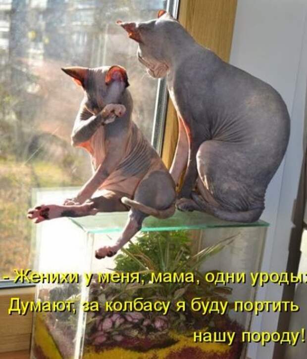 f69518a03cc98cbf80a6eecd84c