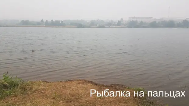 Хитрый рыбак. История на берегу