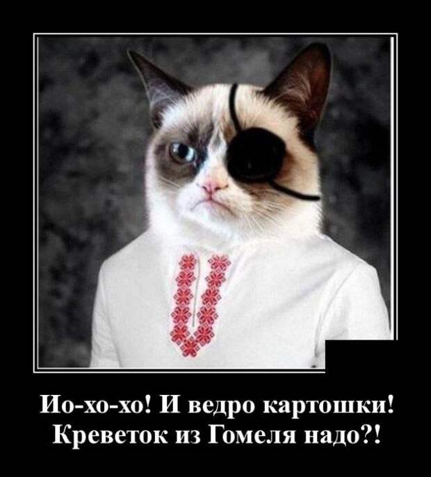 demotivatory-demotivator-smeshnye-demotivatory-demotivator-so-smyslom