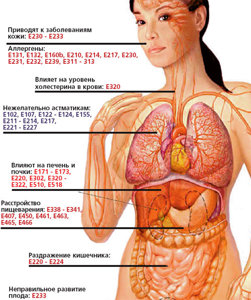 44eae70f4966976deba84e4e4f1de969 44eae70f4966976deba84e4e4f1de969