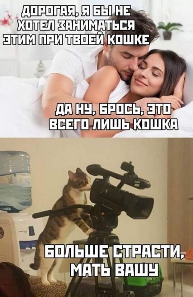 Самые смешные свежие картинки с надписями (суббота)
