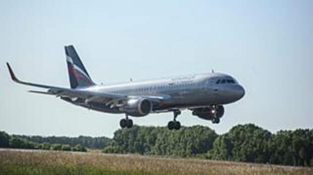 Самолет / Фото: Екатерина Смолихина / amic.ru