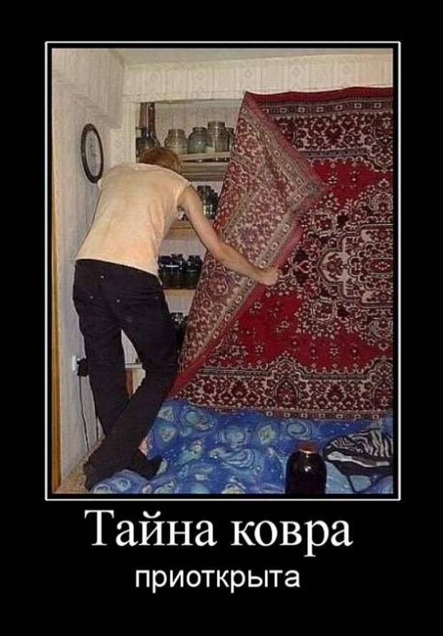 Забавные и позитивные демотиваторы для настроения (11 фото)