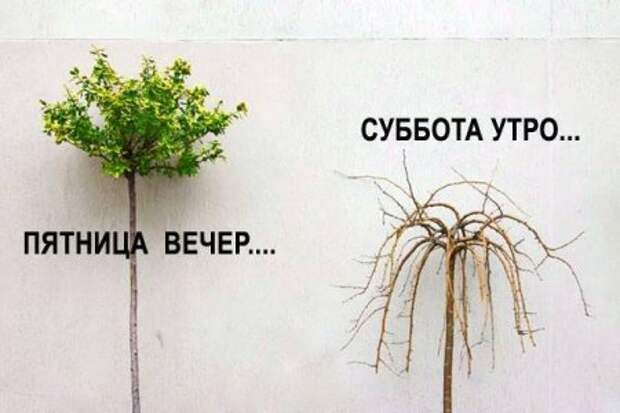 Немного вечернего позитива.