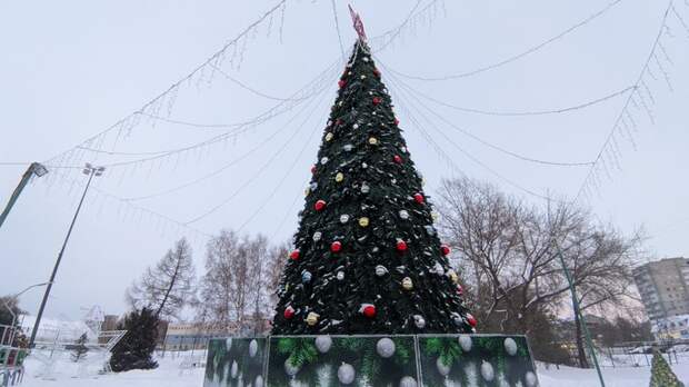 Световой потолок и 12-метровая ель: как украсили парк Смертина в Барнауле к Новому году