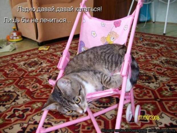 Лучшие котоматрицы недели, 35 шт.
