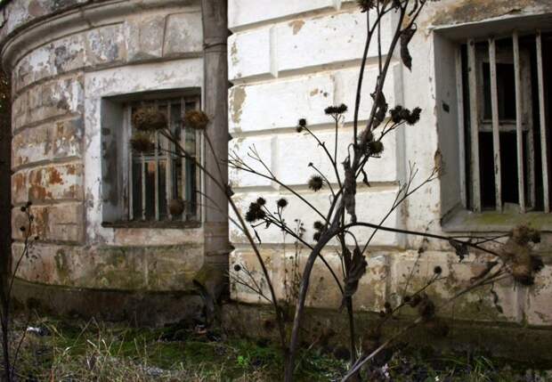 Загадочная усадьба в Тайцах Ленинградская область, призрак, тайцы, фоторепортаж