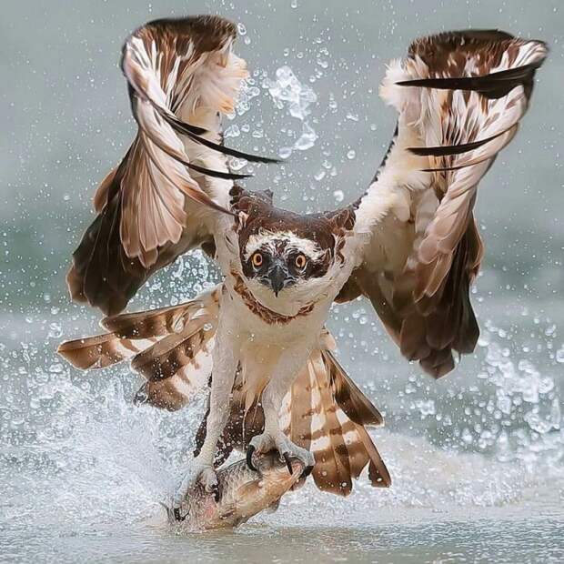 Фотоподборка