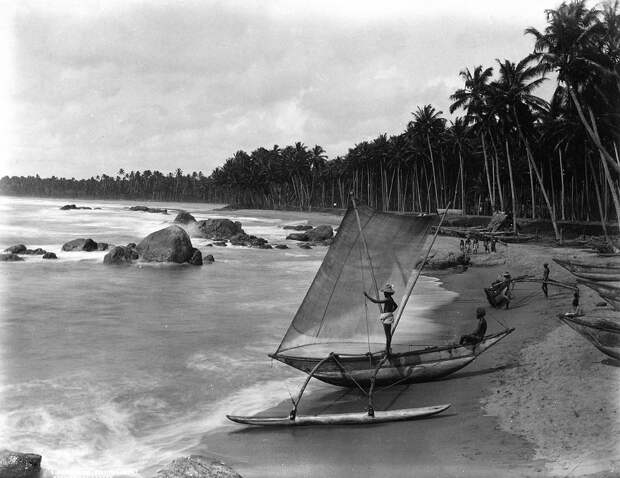 Редчайшие фотографии о повседневной жизни Шри-Ланки в 1880-х годах 13