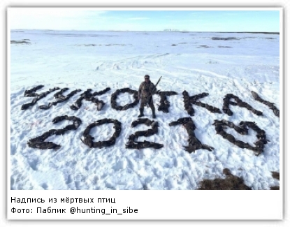 Фото: Паблик @hunting_in_siberia