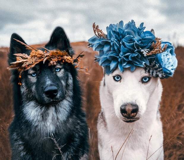 Подборка смешных фотографий и классных картинок для улыбки и позитива