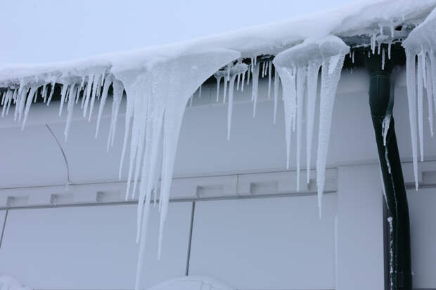 В новой школе в российском регионе обрушилась крыша