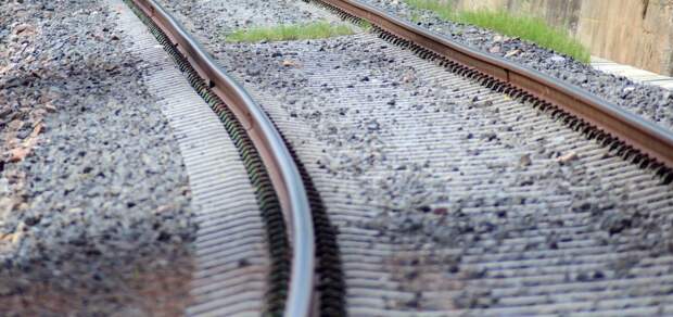 Петербуржец умер на ж/д путях возле станции Кушелевка