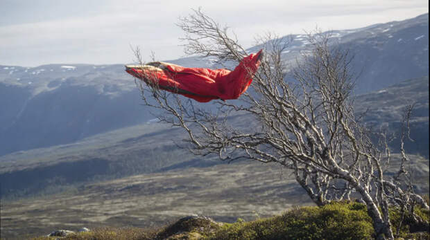 Выжившая во "втором перевале Дятлова" заговорила: Интервью страшное. И короткое
