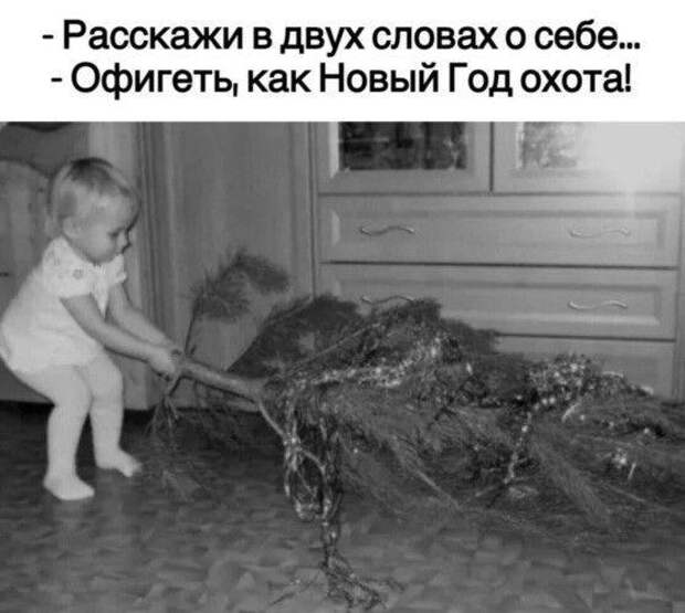 Свежие мемы сегодняшнего дня (вторник)