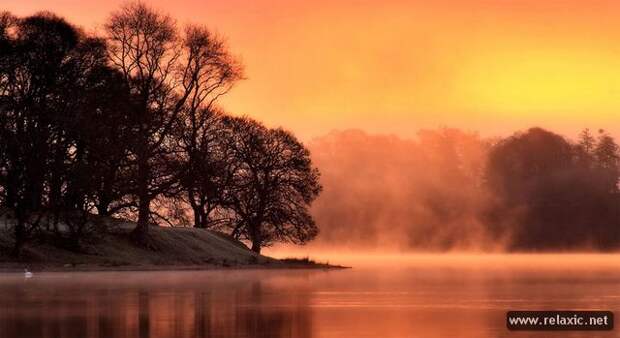 nature_016
