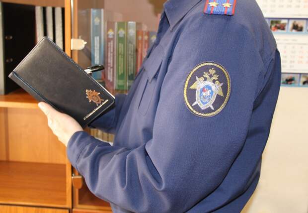 Двух рязанцев подозревают в мошенничестве с налогами на 50 тыс рублей 