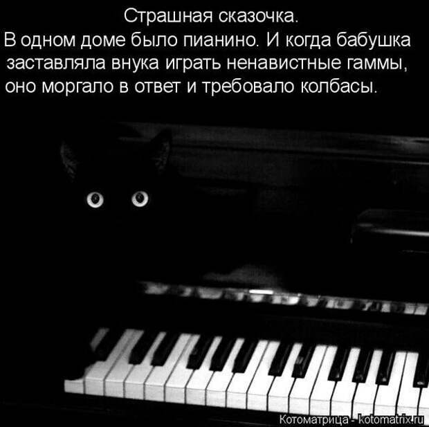 Лучшие котоматрицы недели