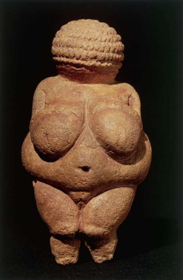 Фото №2 - Эволюция женской груди: от палеолитической Венеры до наших дней