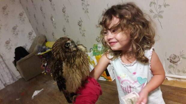 Новосибирские ветеринары спасли молодую сову, проглотившую веревку