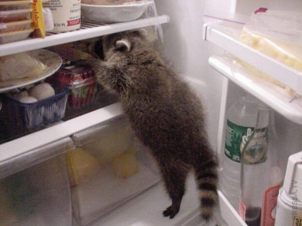 1615496533_pressa_tv_foto_prikoly_pyatnicy-17 (700x525, 240Kb)