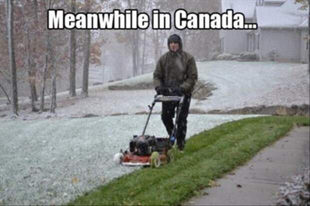 meanwhile-in-canada