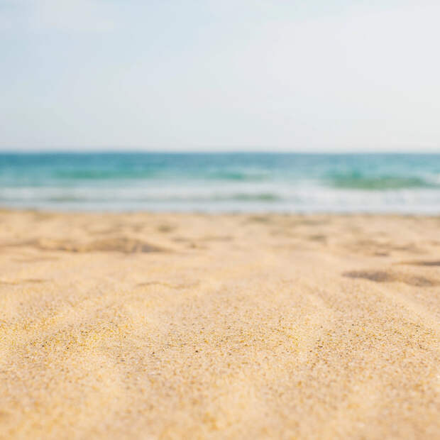 В США установили личность пропавшего человека по найденной на пляже кости