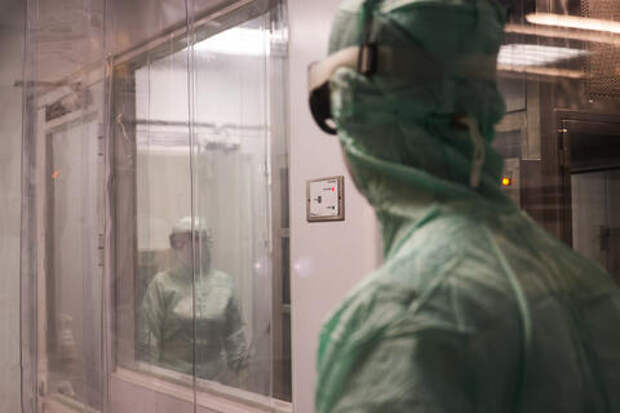 Вирусологи назвали переносчика хантавируса. Встречается ли он на территориях России?