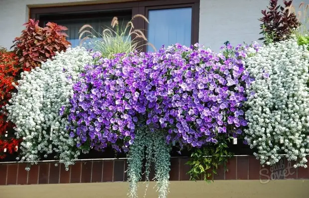 Балконное крепление для цветов