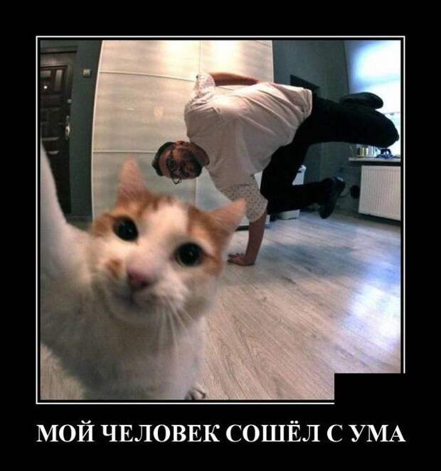 demotivatory-demotivator-smeshnye-demotivatory-demotivator-so-smyslom