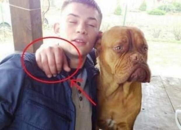 Приколы, приколы, приколы...
