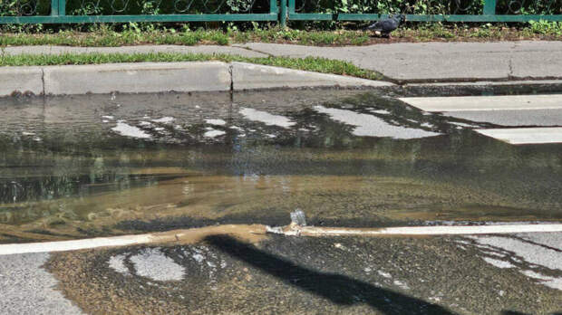 Воробьев: подмосковный Королев остался без воды из-за ошибки экскаваторщика