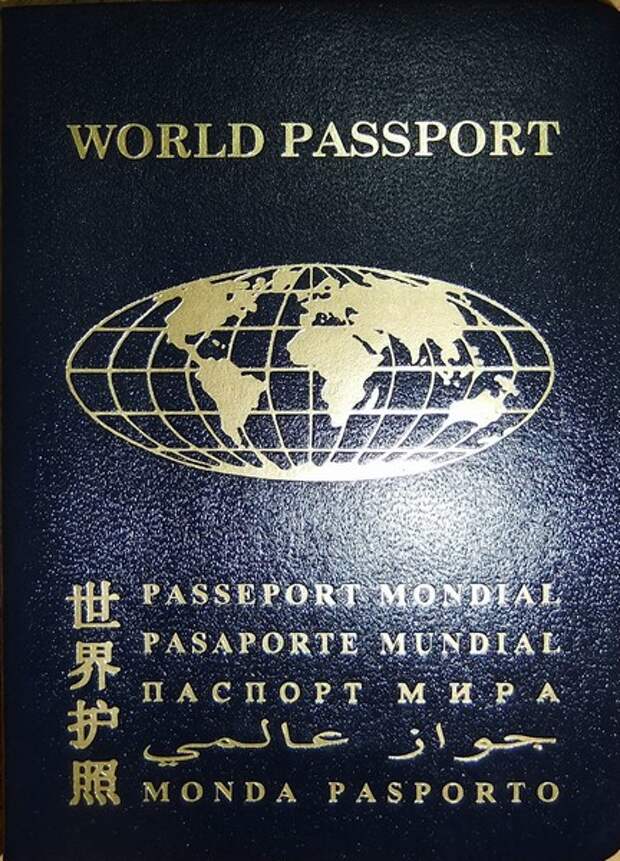 grey Какие паспорта бывают