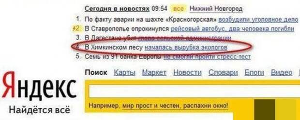 Необычные запросы в поисковых, какую информацию люди ищут в интернете?