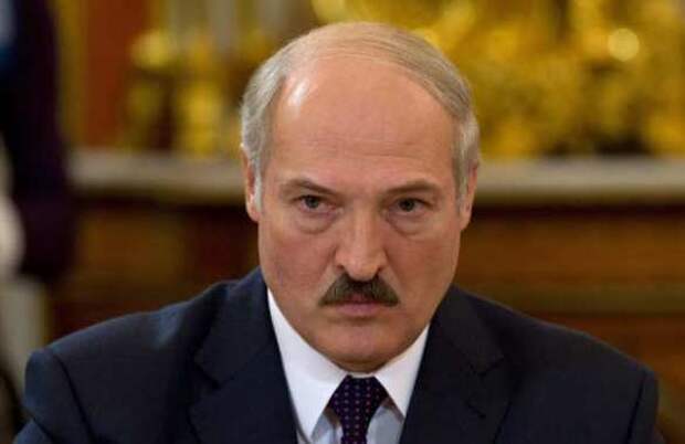 Либералы в своём стиле — «Новая Газета» будет называть Лукашенко «самопровозглашённым президентом Беларуси» | Русская весна